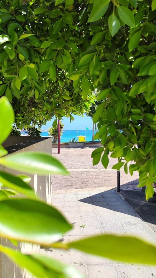 Fabelo Apartment, Puerto Del Rosario Apartament